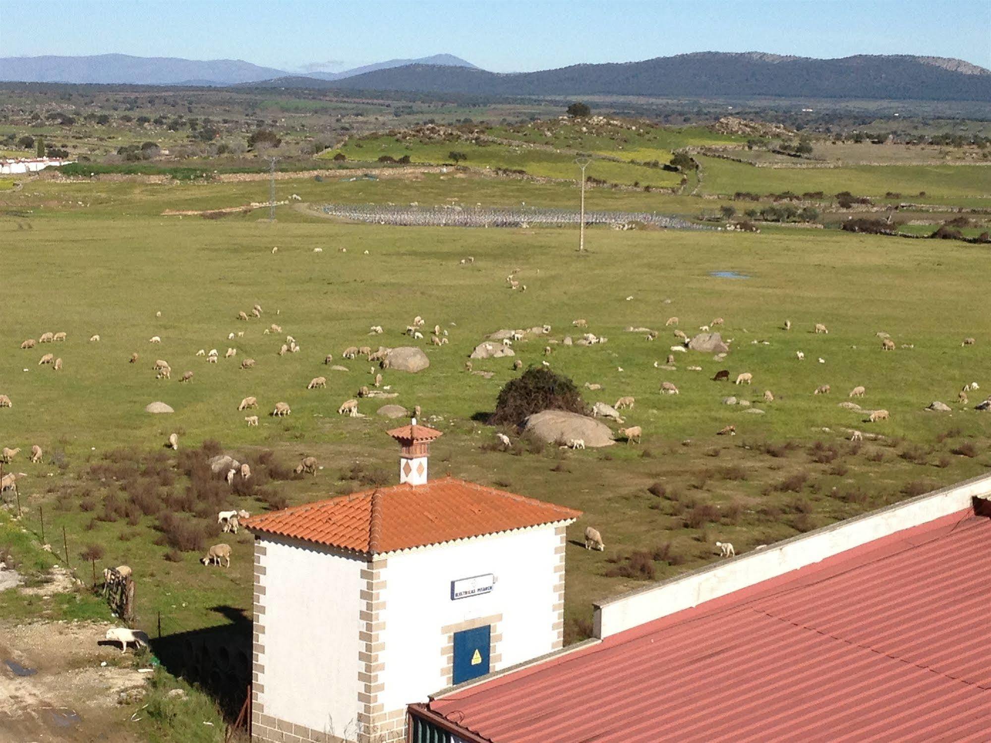 Complejo Penafiel Daire Zarza La Mayor Dış mekan fotoğraf